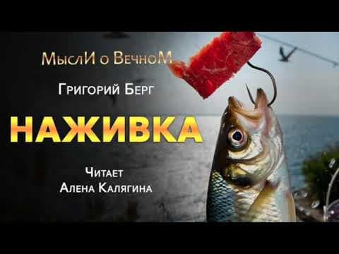 Nazhivka