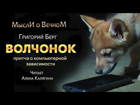 Volchonok